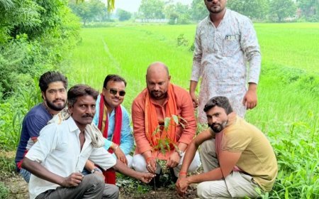 प्राकृतिक संतुलन के लिए पौधारोपण जरूरी- मुकुल सिंह आशा 