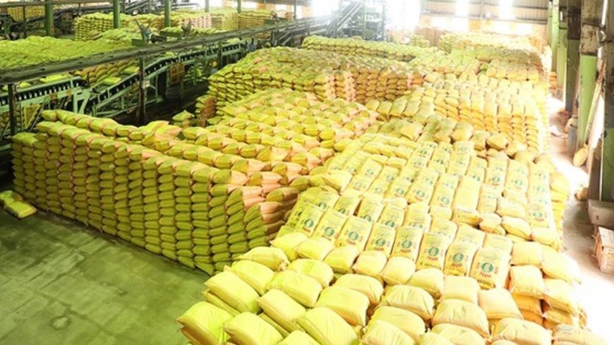 Lucknow News : यूरिया कालाबाजारी पर कार्रवाई-  26 एफआईआर, 580 विक्रेताओं को नोटिस, बलरामपुर के कृषि अधिकारी निलंबित, जांच में दोषी पाए गए