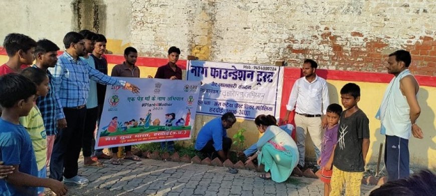 Hardoi: 'एक पेड़ मां के नाम' अभियान- आंबेडकर पार्क में पौधारोपण, पर्यावरण संरक्षण पर जोर। 