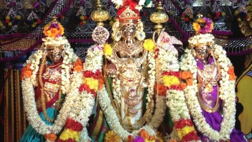 Trending: तिरुचेंदूर मुरुगन मंदिर में भगवान मुरुगन की पुण्य कलश स्थापना, भक्ति और आस्था का उत्सव शुरू। 