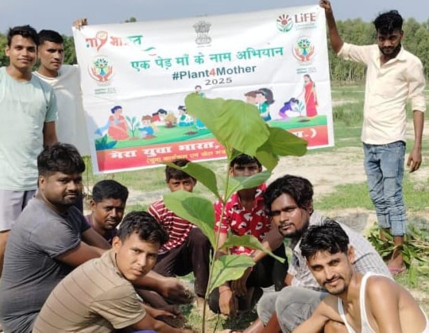 Hardoi: एक पेड़ मां के नाम अभियान में युवा मंडल सदस्यों द्वारा किया गया पौधरोपण। 