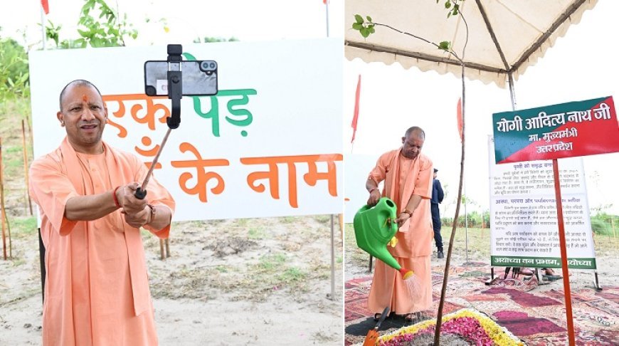 Ek Ped Maa Ke Naam: हमने आठ साल में लगाए 204 करोड़ पौधे, 5 लाख एकड़ में हुआ वनाच्छादन- योगी आदित्यनाथ 