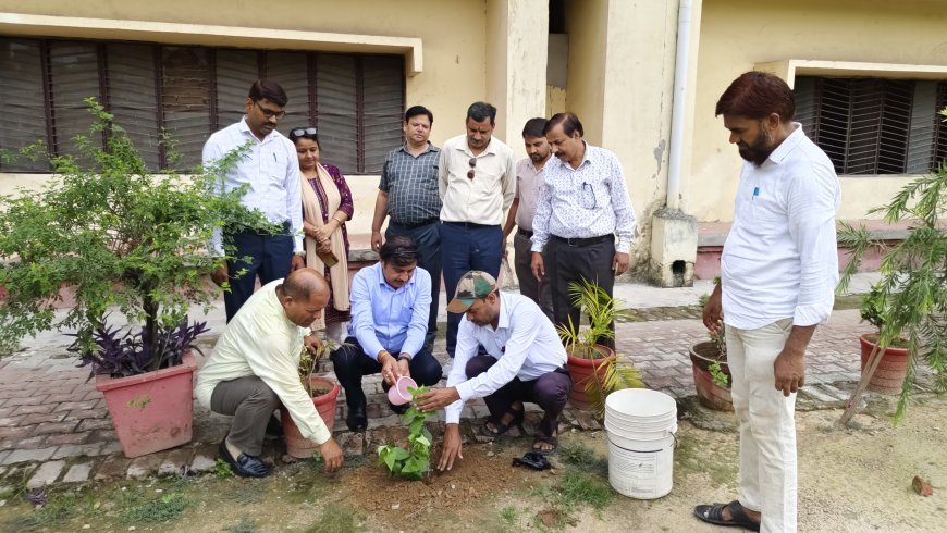 Sambhal : जैव विविधता में वृद्धि एवं वर्षा कराने में सहायक होते हैं पेड़- दुष्यन्त मिश्रा