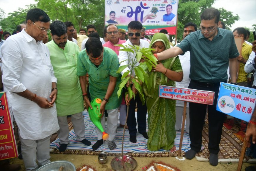 Lucknow : नगर विकास एवं ऊर्जा मंत्री ए.के. शर्मा ने जौनपुर में किया 'एक पेड़ माँ के नाम' अभियान के अंतर्गत वृक्षारोपण महाभियान का शुभारंभ