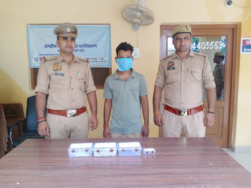 Hardoi : दुकान से आभूषण चोरी के मामले में अभियुक्त सुधीर कुमार गिरफ्तार, भारी मात्रा में जेवरात और पेन ड्राइव बरामद