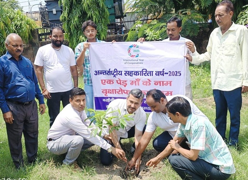 वृक्ष हमारे जीवन की अमूल्य धरोहर, सीवीओ ने सहकारी समिति कर्मियों के साथ किया पौधारोपण। 