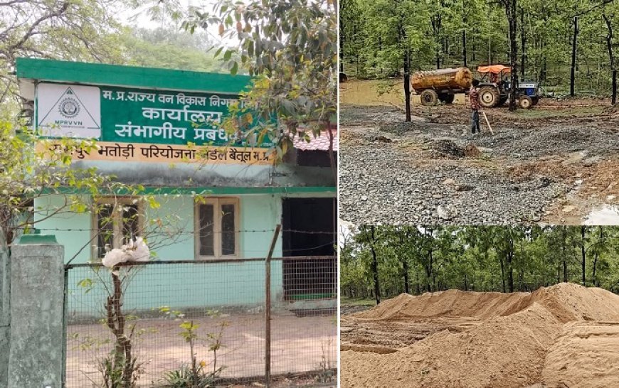 डीएम का अजब कारनामा: 12 साल से जमे डिप्टी रेंजर को भ्रष्टाचार के आरोपों के बावजूद सौंपा तीन रेंज का प्रभार, जंगल सुरक्षा पर सवाल। 