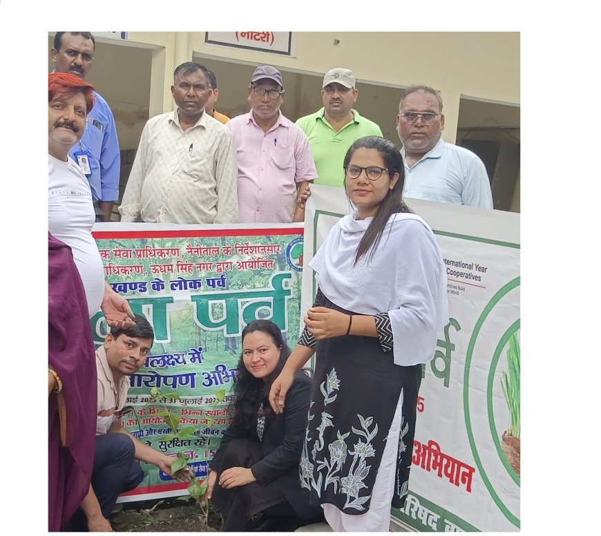 Uttrakhand : सिविल जज ने न्यायालय परिसर में लगाये फलदार पौधे, विशेष वृक्षारोपण अभियान के अंतर्गत वृक्षारोपण कार्यक्रम किया गया