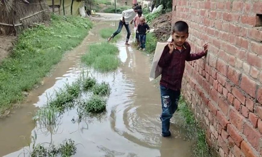 Hardoi : पकरी गांव में प्राइमरी स्कूल की राह को गंदे पानी ने डुबोया, बच्चे बोले- हमें भी पढ़ना है लेकिन स्कूल तक आखिर कैसे पहुंचे