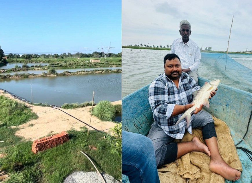 Success Story: डबल इंजन सरकार और मेहनत से मत्स्य पालक लिख रहे करोड़ों की सफलता, दे रहे दूसरों को रोजगार