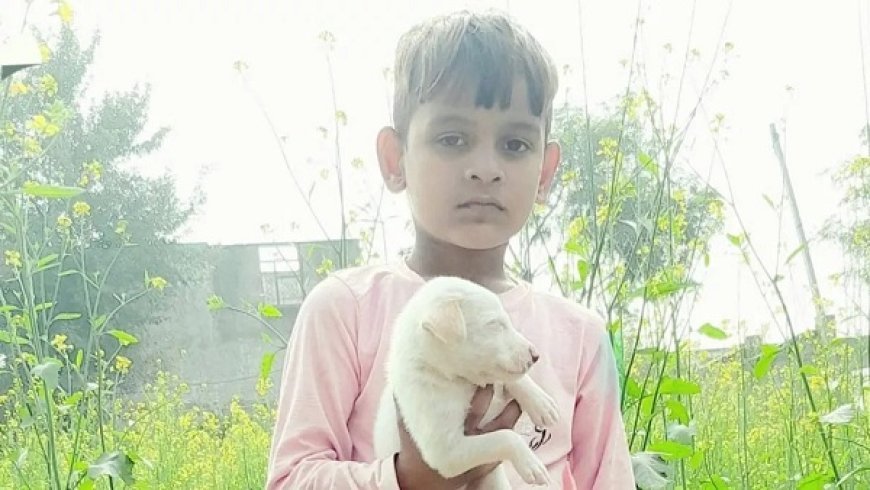 गुरुग्राम में सात साल के बच्चे की चाकू मारकर हत्या- 16 वर्षीय किशोर पर आरोप, मोबाइल चोरी की रंजिश बनी वजह। 