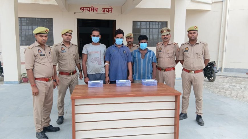 Hardoi : सवायजपुर में अवैध हथियारों के साथ तीन अभियुक्त गिरफ्तार, तीन तमंचे और पांच कारतूस बरामद