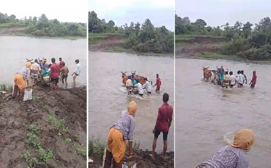 उफनती नदी में बैलगाड़ी: गर्भवती महिला की जान खतरे में, पुलिया न होने से बारिश में आवागमन संकट, ग्रामीणों का चुनाव बहिष्कार और चक्काजाम बेकार, मांगें अनसुनी।