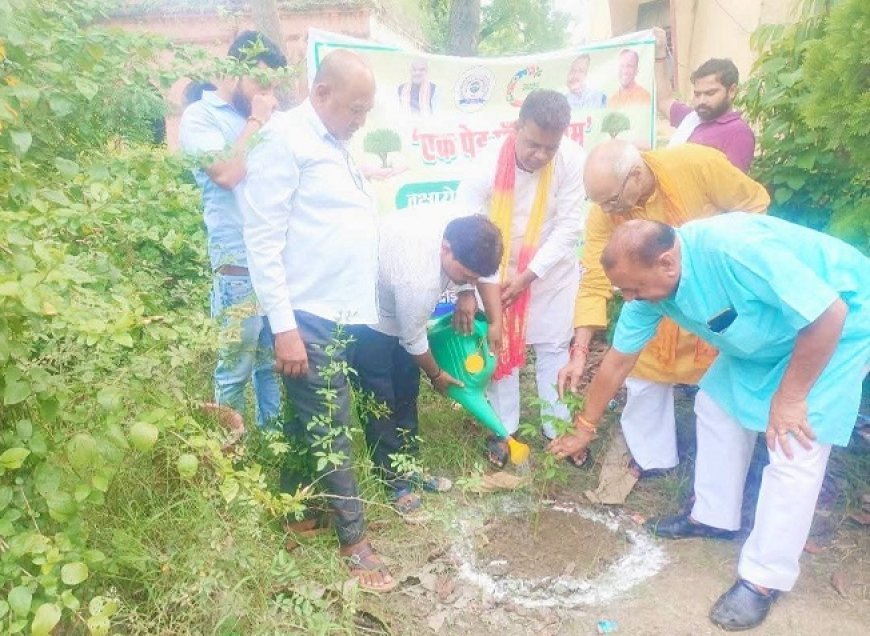 भविष्य में जीवन बचा रहे इसके लिये पेड़ जरूरी हैं- सत्येन्द्र राजपूत