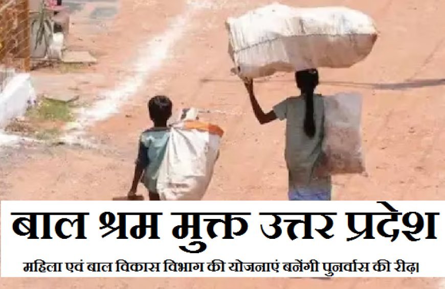 बाल श्रम मुक्त उत्तर प्रदेश: महिला एवं बाल विकास विभाग की योजनाएं बनेंगी पुनर्वास की रीढ़।