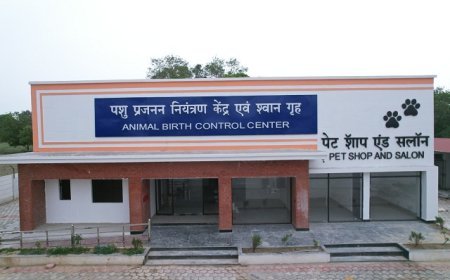 नगर विकास विभाग की पशु कल्याण और शहरी सुरक्षा पहल: आवारा श्वानों पर नियंत्रण और पालतू कुत्तों के लिए लाइसेंसिंग।