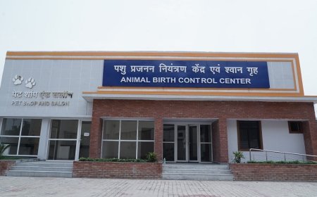 Uttar Pradesh Urban Development Department Advances Stray dog Management and Pet Licensing.