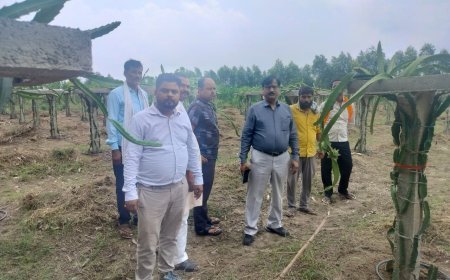 Hardoi : Per Block One Crop कार्यक्रम के तहत बासेन और मुठिया में किसान गोष्ठी का आयोजन, केला और ड्रैगन फ्रूट खेती को बढ़ावा देने का प्रयास