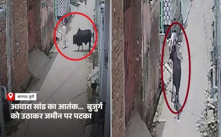 बागपत के लहचौड़ा गांव में आवारा सांड ने 85 वर्षीय शिवदत्त शर्मा पर हमला किया, सीसीटीवी में कैद हुई घटना।
