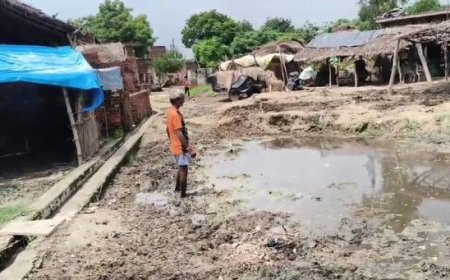 Hardoi : मंसूरपुर की बदहाली पर नहीं किसी का ध्यान, कीचड़ भरे रास्तों से अधिकारी बेखबर, जनता कर रही त्राहि त्राहि 