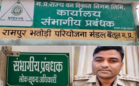 मध्यप्रदेश वन निगम में विवाद: रेंजर मधुसूदन पंवार की वापसी, डीएम की कार्यप्रणाली पर सवाल।