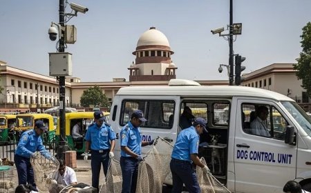 सुप्रीम कोर्ट का आवारा कुत्तों पर बड़ा फैसला- नसबंदी और टीकाकरण के बाद मूल जगह पर छोड़ने का आदेश, जंतर मंतर पर डॉग लवर्स में उत्साह। 