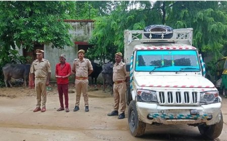 सीतापुर पुलिस की बड़ी कामयाबी: भैंस चोरी के मामले में पटवारी पुत्र सलीम बक्श गिरफ्तार, चोरी की भैंसें और हथियार बरामद। 