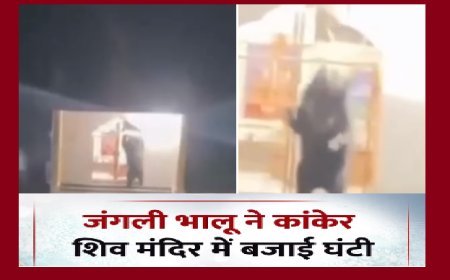 कांकेर के शिव मंदिर में भालू ने बजाई घंटी, 'शिव भक्त भालू' का वीडियो सोशल मीडिया पर वायरल। 