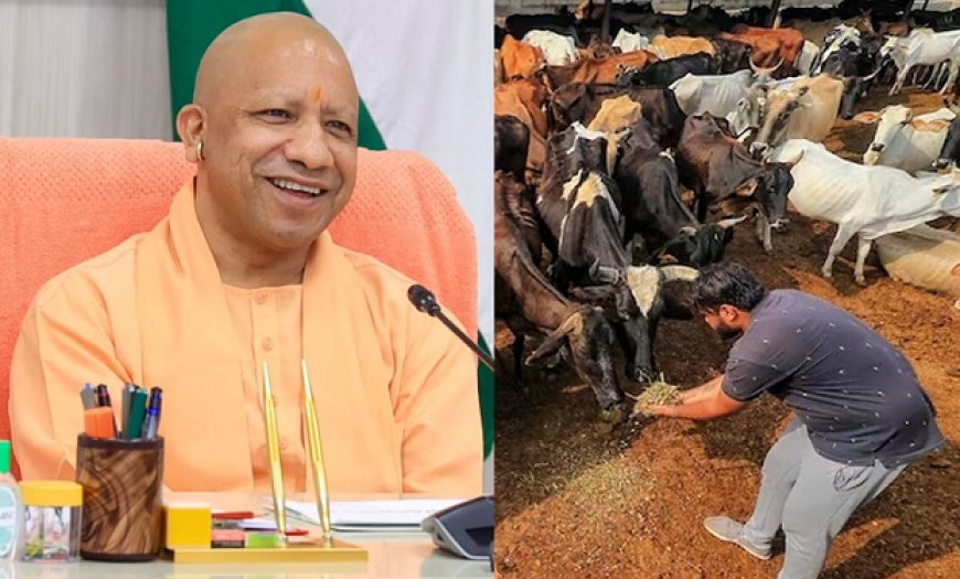 यूपी में गाय के गोबर से बनेगा कपड़ा और बायोप्लास्टिक: लाखों ग्रामीण युवाओं को रोजगार और महिलाओं को लघु उद्यम से जोड़ने की तैयारी, योगी सरकार को मिलेगा राजस्व। 