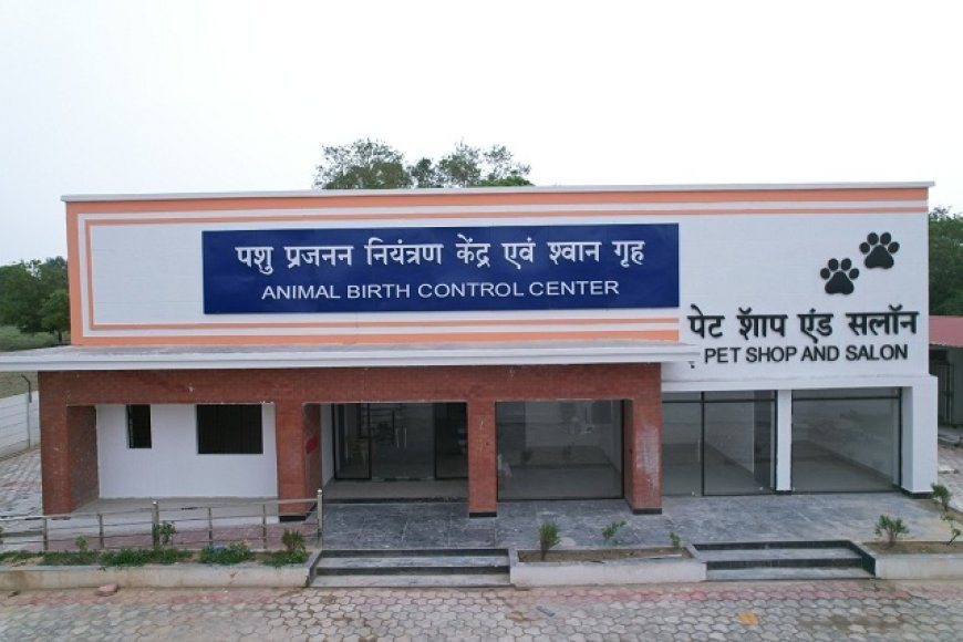 नगर विकास विभाग की पशु कल्याण और शहरी सुरक्षा पहल: आवारा श्वानों पर नियंत्रण और पालतू कुत्तों के लिए लाइसेंसिंग।