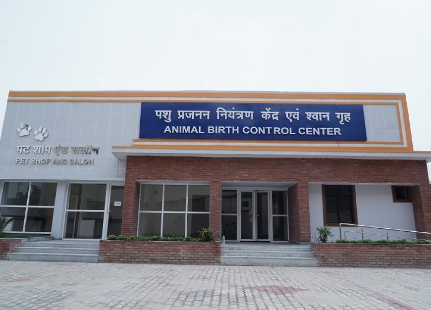 Uttar Pradesh Urban Development Department Advances Stray dog Management and Pet Licensing.