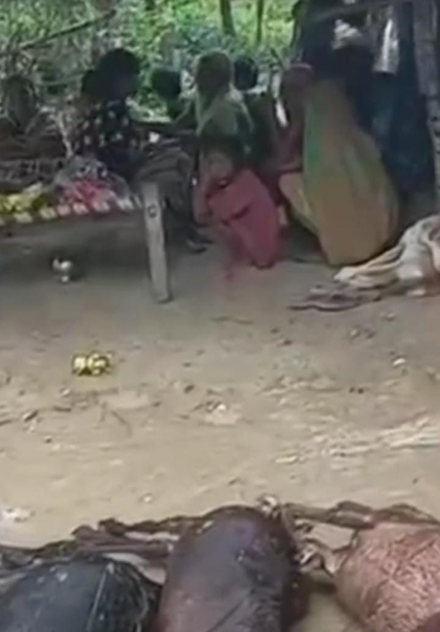 Sitapur : बारिश से गिरी कच्ची दीवार- मलबे में दबने से एक युवक की दर्दनाक मौत, भाई घायल, नौ बकरियों की भी मौत