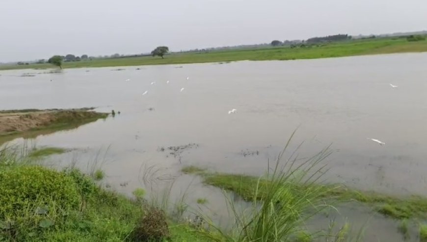 नदियों के बढ़ते जलस्तर से किनारे बसे गांवों में दहशत, फसलों के नुकसान और कटान का खतरा।