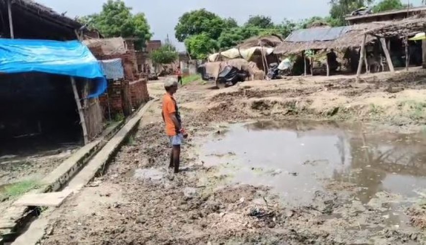 Hardoi : मंसूरपुर की बदहाली पर नहीं किसी का ध्यान, कीचड़ भरे रास्तों से अधिकारी बेखबर, जनता कर रही त्राहि त्राहि 