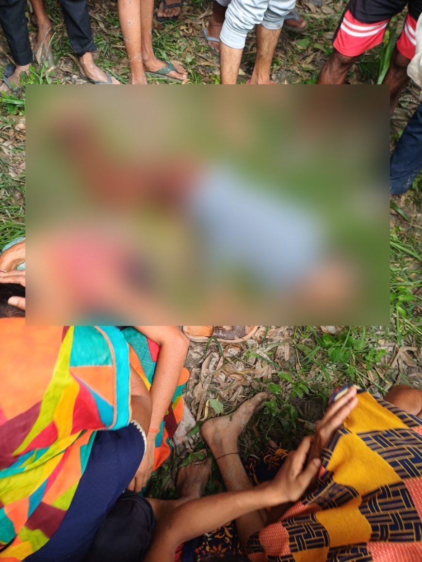 Sitapur : बुजुर्ग किसान पर बाघ ने किया हमला हुई दर्दनाक मौत