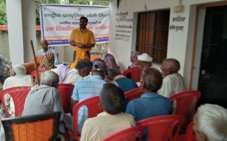 प्राकृतिक खेती से सीतापुर बनेगा रसायन-मुक्त कृषि का मॉडल- कम लागत, अधिक मुनाफा दिलाने वाली तकनीक है प्राकृतिक खेती। 