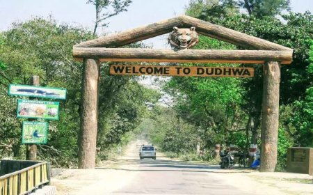 Lucknow : दुधवा महोत्सव 2025 का तीन दिवसीय आयोजन आगामी नवम्बर में