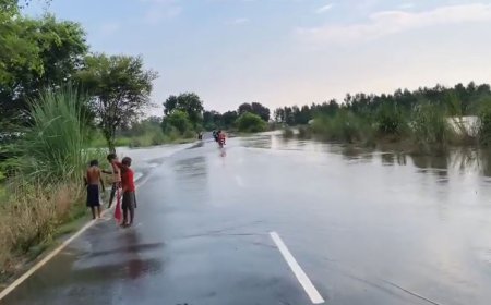 Hardoi : सांडी और हरपालपुर में बाढ़ का कहर, गांवों में पानी ही पानी