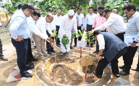 Sitapur : हरिशंकरी पौध पर्यावरण की दृष्टि से अत्यन्त लाभकारी है - स्वतंत्र देव सिंह