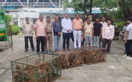 Uttrakhand : पालिका क्षेत्र में आतंक फैलाने वाले बंदरों को पालिका ने रेस्क्यू कर पकड़ा