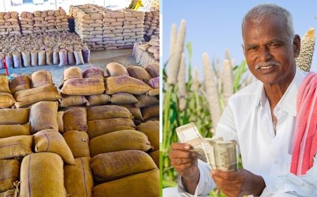 Lucknow : पहली अक्टूबर से शुरू होगी 'मोटे अनाज' की खरीद, मोटे अनाज (श्रीअन्न)  मक्का, बाजरा व ज्वार की खरीद के लिए चल रहा किसानों का पंजीकरण