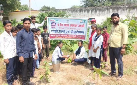 Hardoi : हरदोई में पंडित दीनदयाल उपाध्याय जयंती पर विचार गोष्ठी, पौधरोपण और प्रश्नोत्तरी प्रतियोगिता