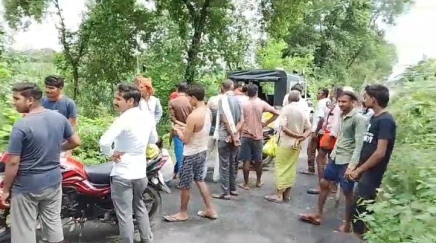 Sitapur : महसोनिया गांव में बाघ की दस्तक, ग्रामीणों में भय का माहौल