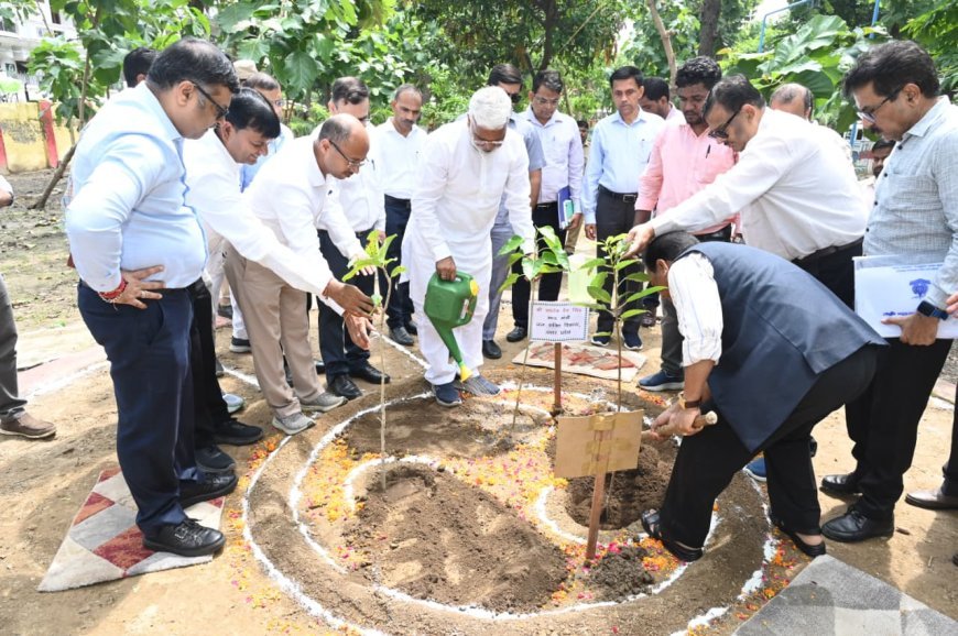 Sitapur : हरिशंकरी पौध पर्यावरण की दृष्टि से अत्यन्त लाभकारी है - स्वतंत्र देव सिंह