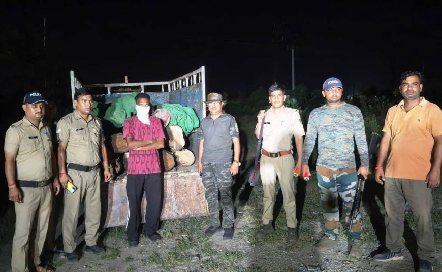 Uttrakhand : छोटा हाथी में आठ सागौन गिल्टे सहित आरोपी गिरफ्तार