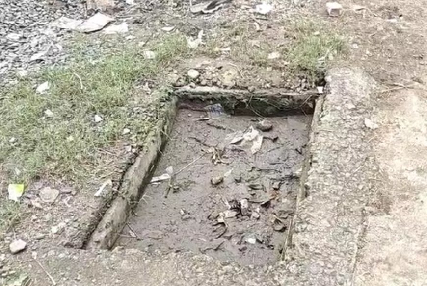 Baitul : बैतूल में दूषित पानी का संकट- ग्राम पंचायत बघोली में सरपंच पति की तानाशाही, ग्रामीण बीमार