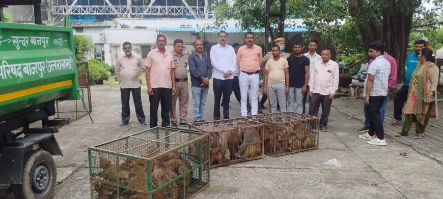 Uttrakhand : पालिका क्षेत्र में आतंक फैलाने वाले बंदरों को पालिका ने रेस्क्यू कर पकड़ा