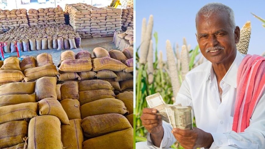 Lucknow : पहली अक्टूबर से शुरू होगी 'मोटे अनाज' की खरीद, मोटे अनाज (श्रीअन्न)  मक्का, बाजरा व ज्वार की खरीद के लिए चल रहा किसानों का पंजीकरण