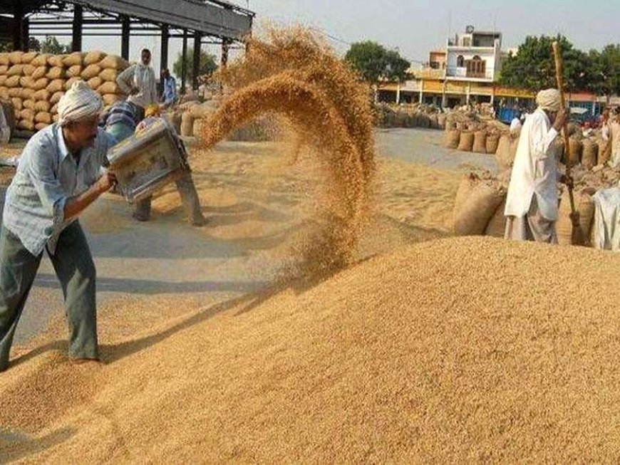 Lucknow : पश्चिमी यूपी में पहली अक्टूबर से होगी धान खरीद, पहली नवंबर से पूर्वी उत्तर प्रदेश में की जाएगी खरीद