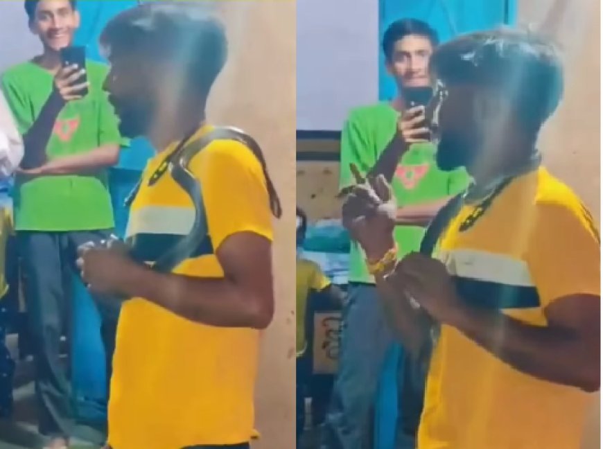 नशे में कोबरा से करतब दिखाते युवक की सर्पदंश से मौत, वीडियो बनाते समय दो बार डसा; परिवार सदमे में